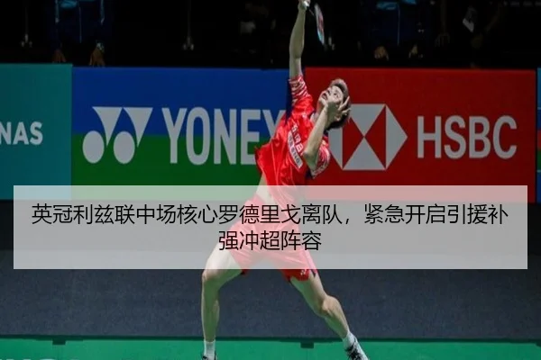 ying-guan-li-zi-lian-zhong-chang-he-xin-luo-de-li-ge-li-dui-jin-ji-kai-qi-yin-yuan-bu-qiang-chong-chao-zhen-rong-3-292.jpg