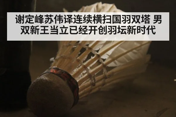 谢定峰苏伟译连续横扫国羽双塔 男双新王当立已经开创羽坛新时代